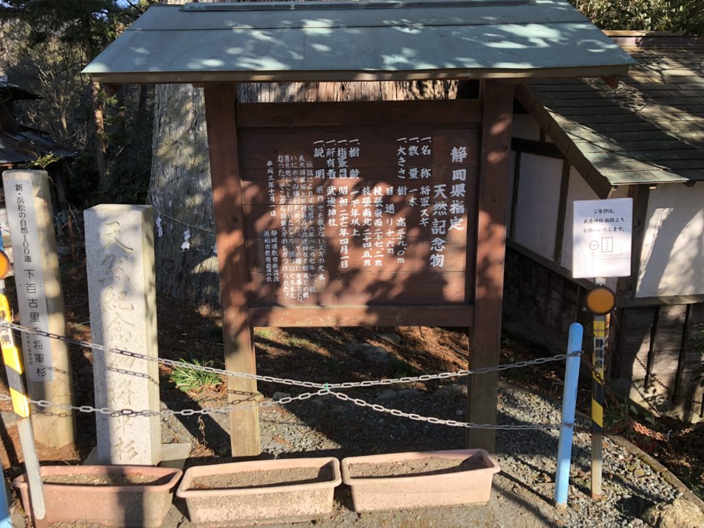 武速神社　将軍スギ　浜松　巨木　パワースポット