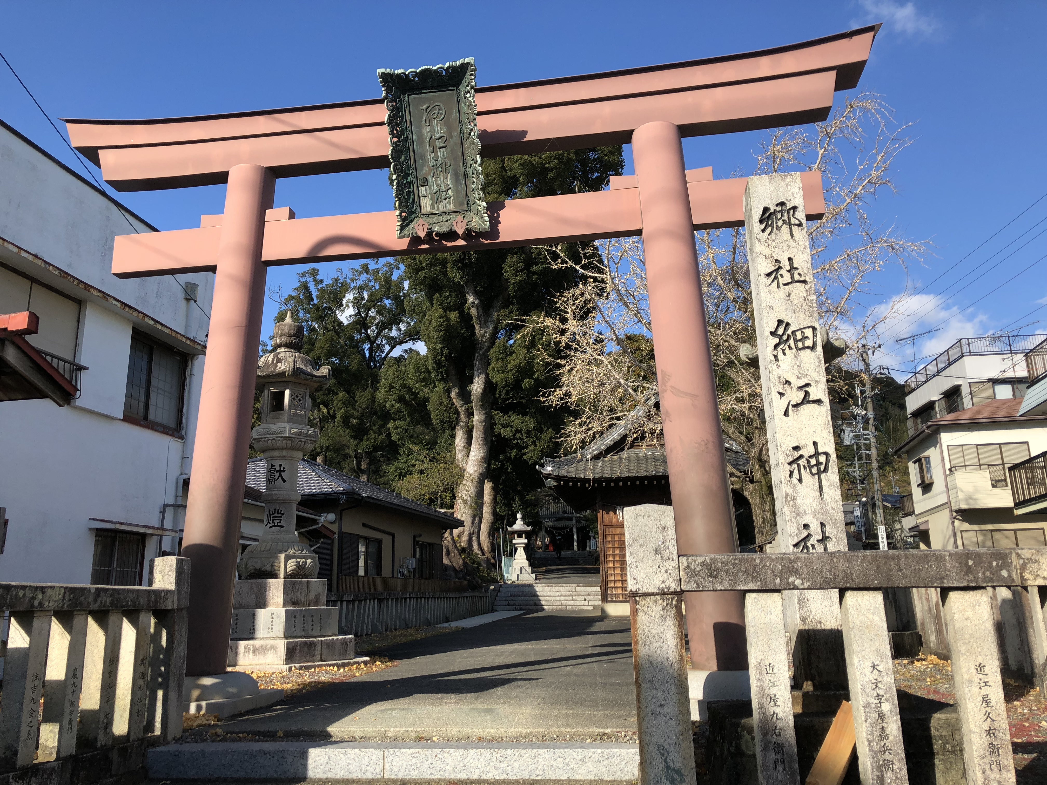 細江神社　パワースポット　巨木　ご神木